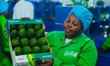 African Agriculture