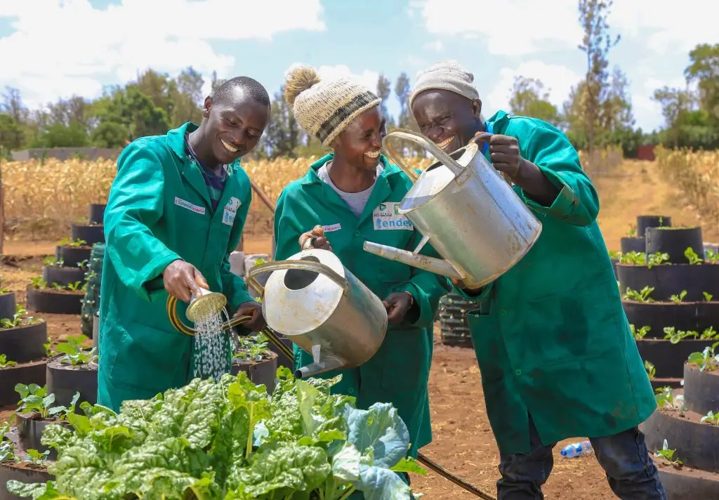 youth and agriculture in Africa
