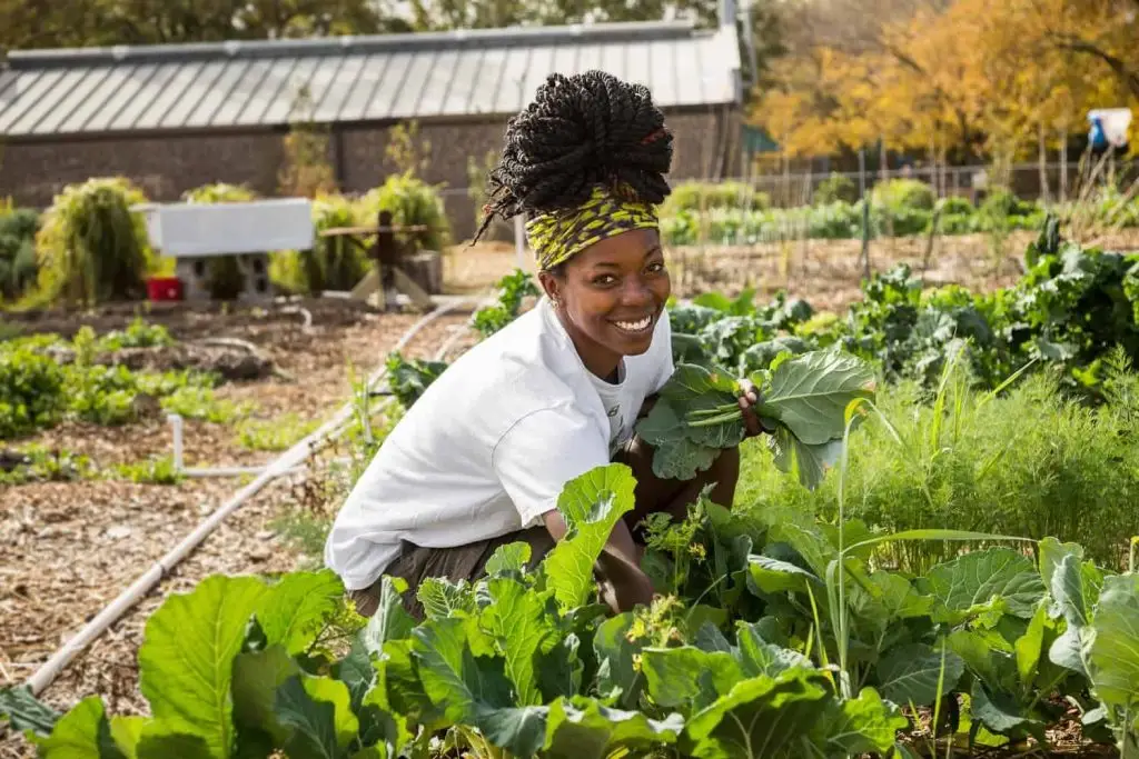 youth and agriculture in Africa.