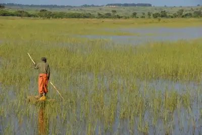 Angola
